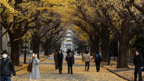 2022年12月17日，日本東京大學校園（RICHARD A. BROOKS/AFP via Getty Images）(16:9)