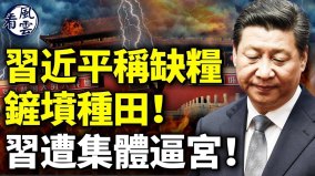 習近平強調糧食安全鏟墳種田;習遭集體逼宮(視頻)