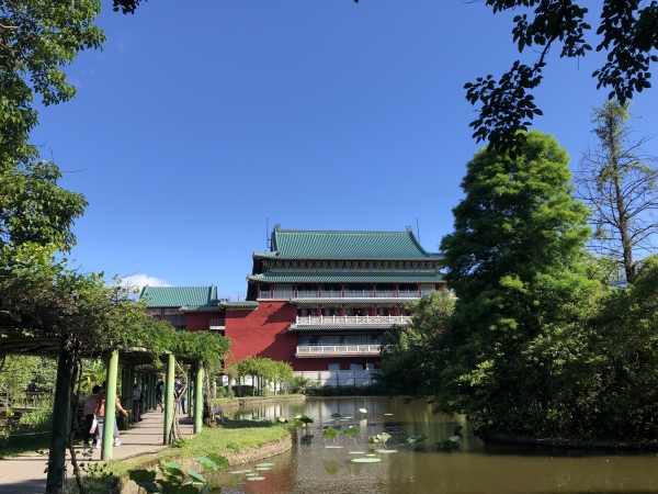 台北植物园 树 风景 湖 历史博物馆