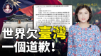 被世界驅逐的中華民國人世界欠臺灣一個道歉(視頻)