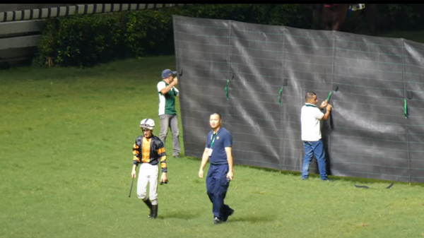 7月6日夜晚马匹“大师级”赛场上暴毙，马会工作人员拉起黑幕。（图片来源：视频截图）