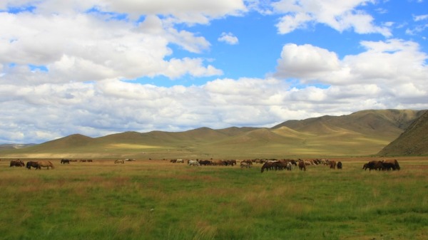 蒙古國
