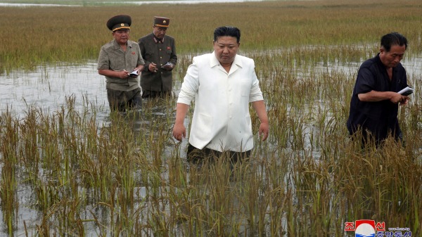 8月21日，朝鮮領導人金正恩視察平安南道干瀉地因潰堤而被洪水倒灌淹沒的農田。