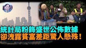 【谢田时间】国家统计局：8省上半年人均可支配收入超过2万元(视频)