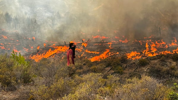 由於連日無法撲滅森林大火，希臘羅德島宣布進入緊急狀態。