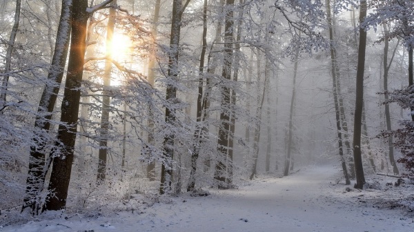 小雪一到，太陽正運行到黃經285度，天氣也開始轉寒