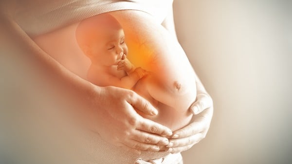 身孕 怀孕 婴儿 胚胎 215531920