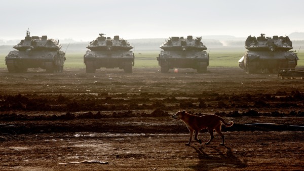 2024年1月2日，在以色列與激進組織哈馬斯之間持續發生的衝突中，一隻狗在部署在加沙地帶和以色列南部邊境陣地的以色列主戰坦克附近散步。