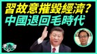 習近平摧毀經濟中國退回毛時代(視頻)