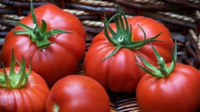 美國禁售新疆番茄為何亞馬遜和沃爾瑪仍在賣(圖)