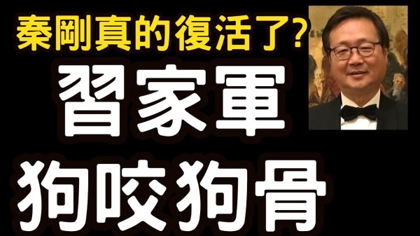 党内风声鹤唳习“复活”秦刚保权位(视频)