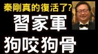 黨內風聲鶴唳習「復活」秦剛保權位(視頻)