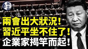 赵安吉夺命环节曝光两会出大状况企业家们揭竿而起(视频)