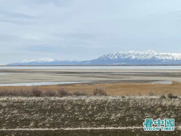 鹽湖的一些部分已變成濕地