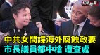 中共女间谍海外腐蚀政要市长议员都中枪遭查处(视频)