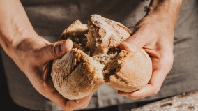 土耳其发现8600年前的面包堪称世界最古老(图)