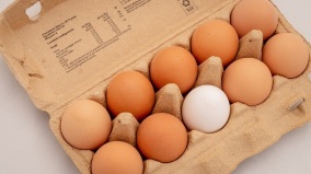 红壳鸡蛋比白壳蛋还要营养重点曝光(组图)