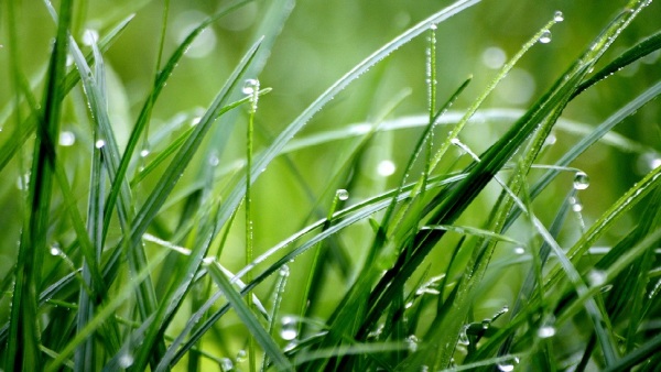 穀雨也被視為充滿希望的節氣代表，能讓人深刻體會到春暖花開的美好。