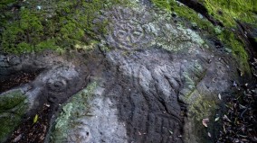 原始深山驚見神秘壁畫失落的萬山岩雕刻群(圖)