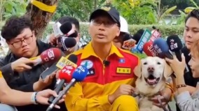 台湾强震一支“搜救犬”影片引热议(图视频)
