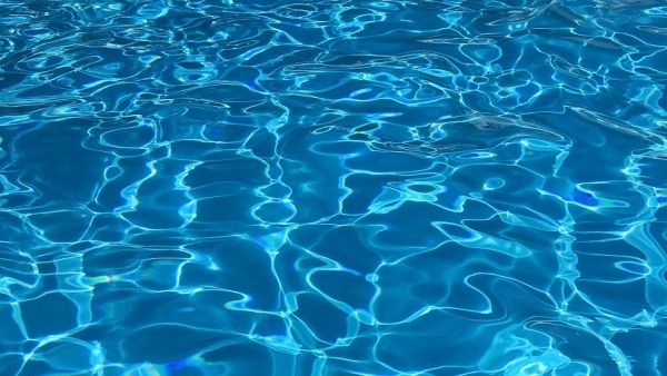 “水”可谓孕育了一切生命（图片来源：Pexels） 