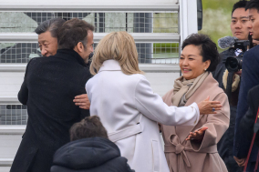 彭麗媛被安排「露面」闢謠三大看點不尋常(圖)