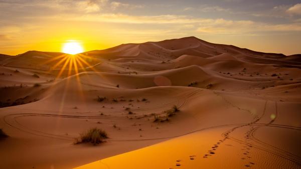 撒哈拉沙漠 危险 沙漠
