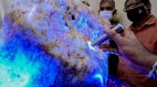 斯里兰卡展出世界最大天然蓝宝石原石(图视频)