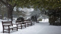大陆寒流南下北台湾或迎白色耶诞节(图)