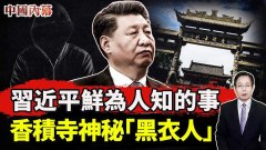 习近平鲜为人知的故事习仲勋骨灰为何不入八宝山(视频)