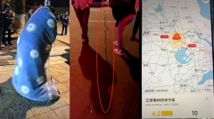 要出事新年前中国多地发生地震波及上海南京(视频图)