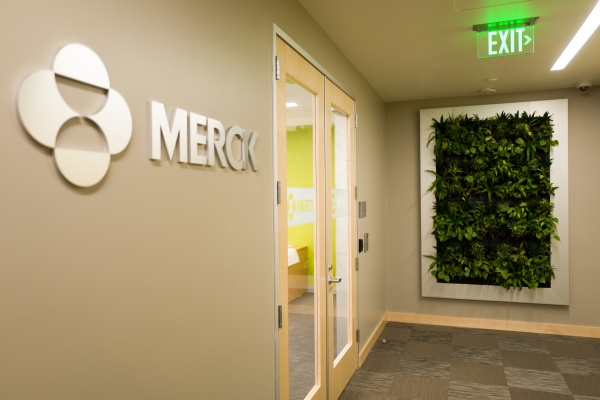 美国制药公司默克（Merck）在加州旧金山的办公室。（图片来源：Smith Collection/Gado/Getty Images）