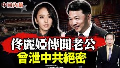 佟麗婭傳聞老公曾泄中共絕密習近平面對黨內大挑戰(視頻)