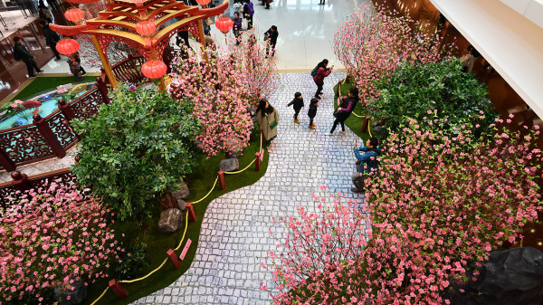 桃花也是香港黃曆新年的裝飾之一，圖為香港購物商場內的桃花。（圖片來源：香港政府新聞處）
