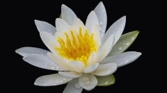 高僧：一个人有多少福气看他如何对待这3件事(图)