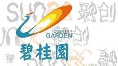 排名第1和第4的房企巨頭扛不住了……(圖)