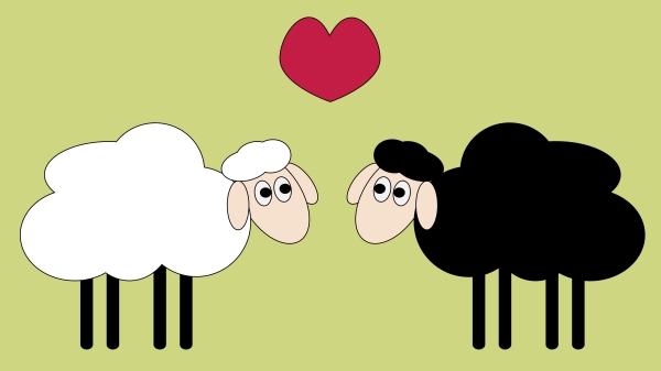 兩隻相愛的羊