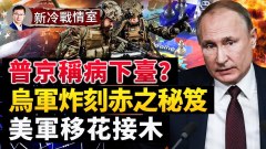 普京生日收了拖拉機最後恐被生病下臺(視頻)