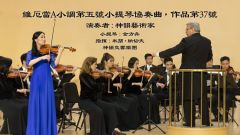 音乐欣赏：维厄当动人的小提琴协奏曲(图)