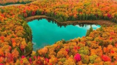 归途—加拿大秋景感怀(图)
