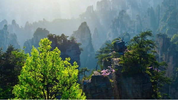 中國 高山 深山 山景 225818352