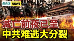 曝胡錦濤被帶走真相；習近平亡黨在即；宋平也現詭異(視頻)