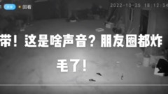 河南開封大範圍聽到「巨響」朋友圈炸鍋(圖)