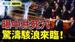 习近平难安稳中共新内战更恐怖大清洗将至；私企惨了(视频)