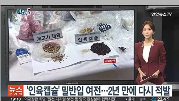 图为2022年9月28 日韩联社TV报导人肉胶囊事件的画面