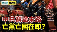 中共持枪防疫事大了亡党亡国在即(视频)