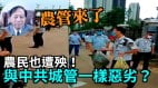 【谢田时间】城管是中共豢养的怪胎专对付百姓的黑帮(视频)