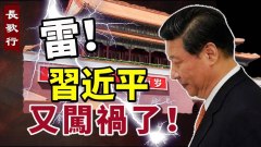 習近平又闖禍了川普一個詞揶揄他(視頻)