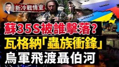 瓦格纳“虫族冲锋”苏35S被“鹰式”拦下(视频)