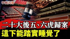 自知賊船進水難自保退休4年的吉林原市委書記主動投案(視頻)
